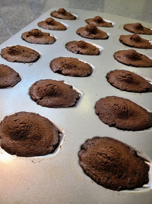 Baked chocolate madeleines with humps