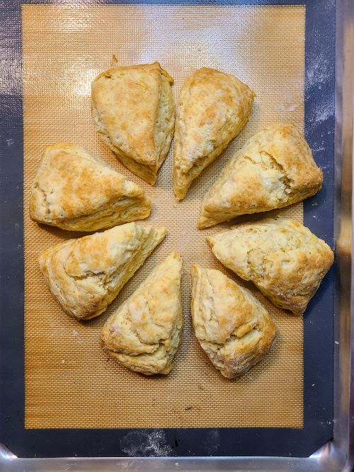 Classic Scone fresh from the oven