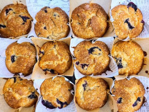 Blueberry muffins fresh from the oven