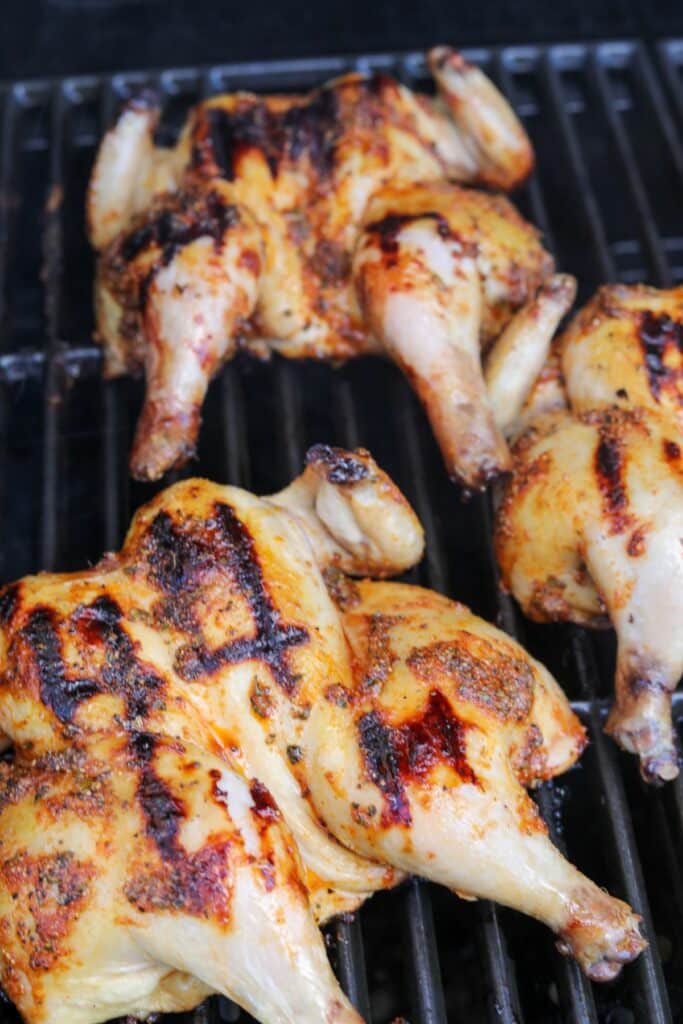 Grilled Cornish hens